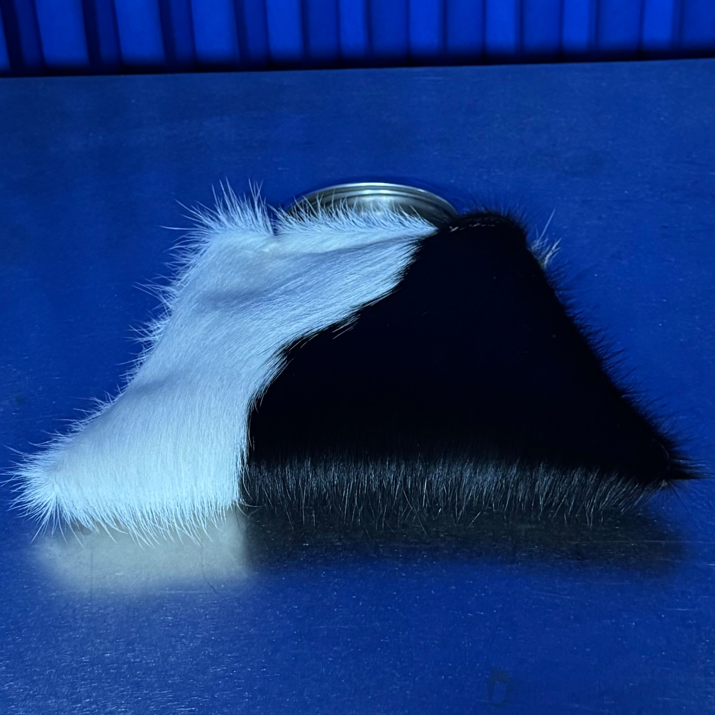 FRIDA MARA BAG